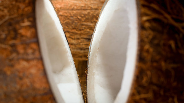 两半椰子的特写照片。摘要背景的外来热带水果和坚果图片下载