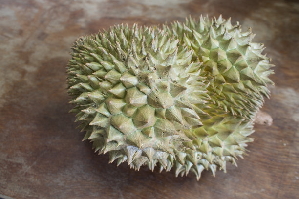 榴莲果图片下载