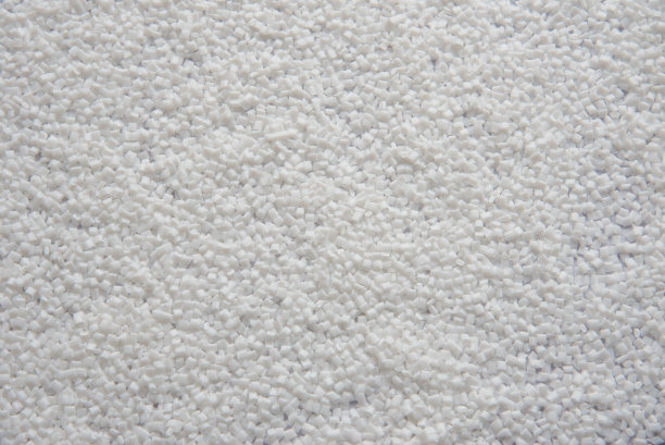 白色宠物芯片半无趣图片下载