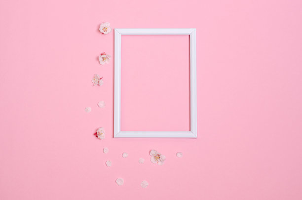 白色框架，杏树花在粉红色的背景。图片下载