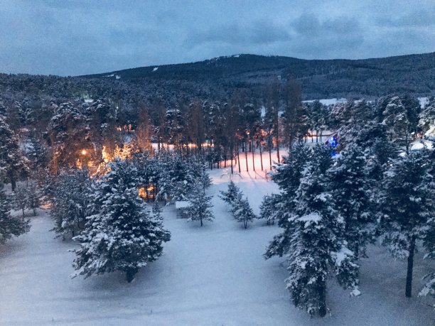 下雪的森林景观图片下载