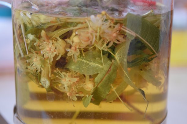 茶壶里的椴树花草茶特写。药用茶。石灰花草茶。图片下载