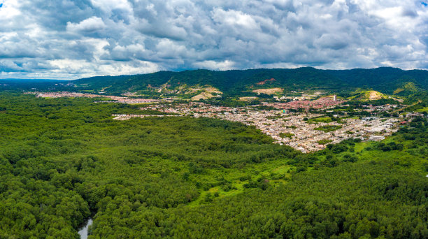 无人机拍摄的河流，高密度的红树林和盖特社区图片下载