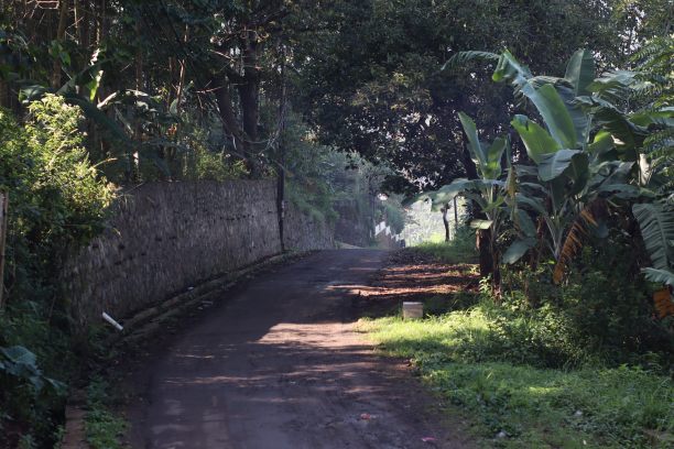 村子中间一条安静的路图片下载