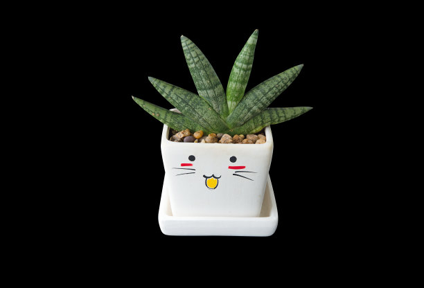 白柱白瓷缸内卡通图案图片下载