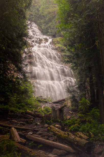 森林中壮观的瀑布图片下载