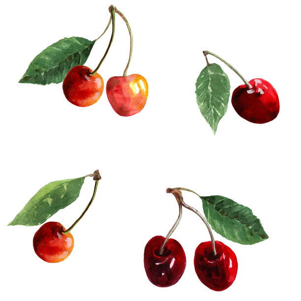 红色樱桃浆果，黄色和粉红色樱桃与绿色的叶子在白色的背景无缝图案。水彩。图片下载
