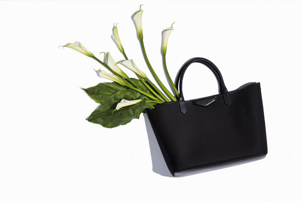 时尚的皮包与花孤立在白色的背景图片下载