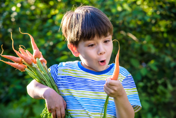 小男孩手里拿着一根胡萝卜，用手指看着胡萝卜，健康食品概念，面部情绪积极，穿着橙色t恤，孤立的蓝色背景，复制空间图片下载