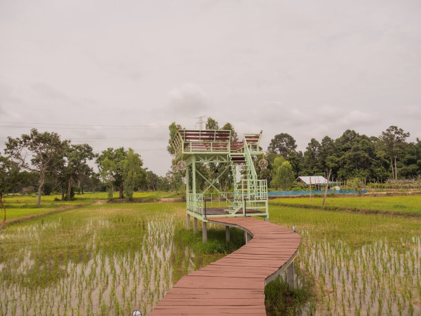 这座塔有可以从高角度观看的座位。图片下载