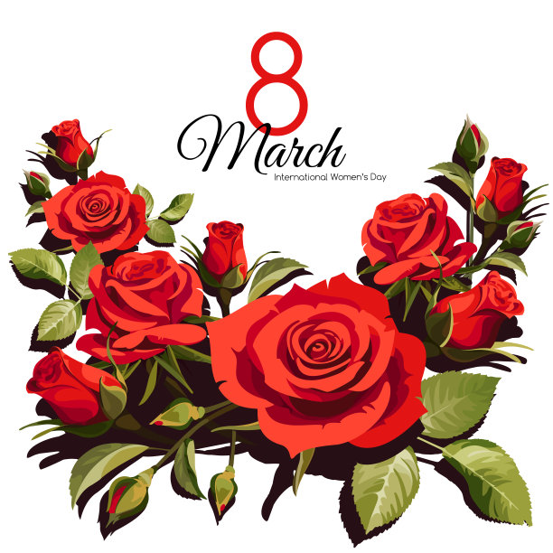 3月8日妇女节贺卡模板。孤立在白色背景上的红玫瑰。图片下载