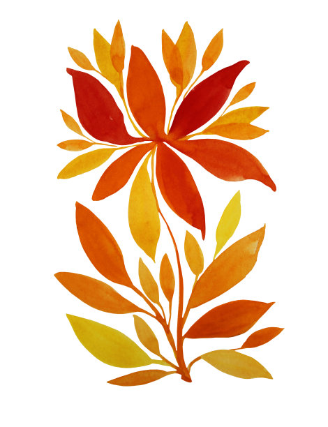 水彩手绘橙色和红色的秋天花菊花或百合叶孤立在白色的背景。用于贴纸、卡片、墙纸、纺织品或包装的艺术创作的自然对象。图片下载