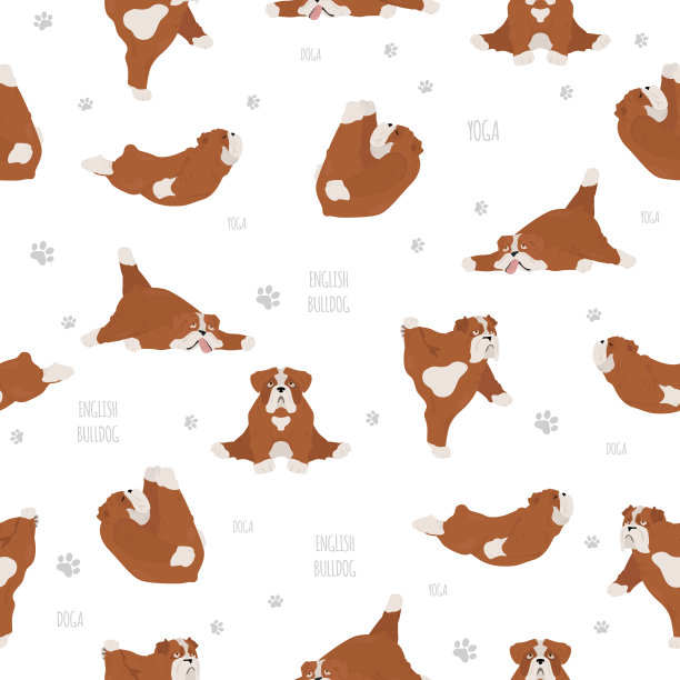 瑜伽狗的姿势和锻炼。英国斗牛犬无缝图案图片下载