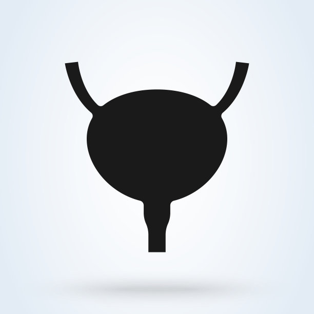 人的膀胱有输尿管和尿道。人类的器官。矢量图图片下载