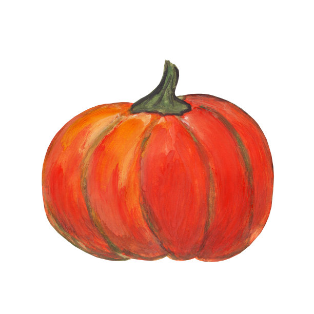 色彩鲜艳的南瓜、葫芦、南瓜。果具橙色，黄色，红色，厚果皮。秋天的收获。万圣节装饰品。图片下载