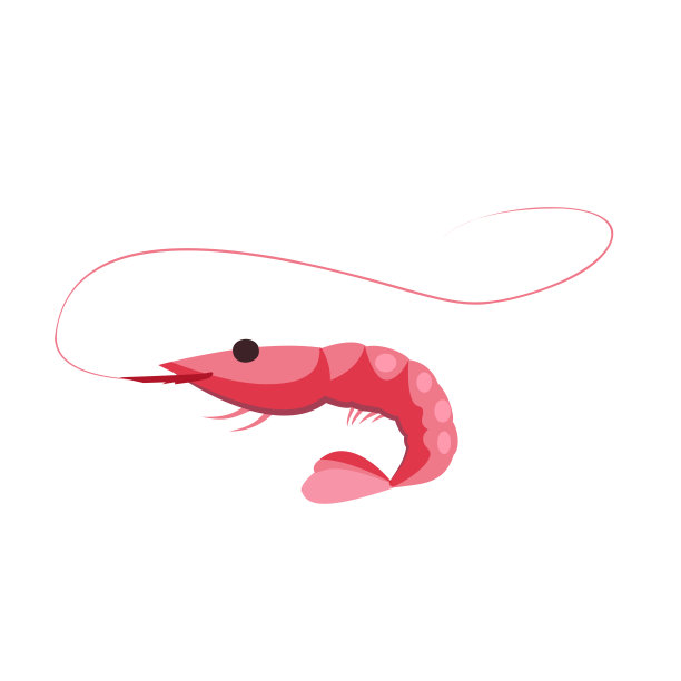 粉红色的虾插图图片下载