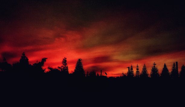 日落惠斯皮图片下载