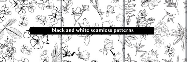 一套无缝模式与手绘热带植物图片下载