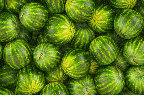 背景从西瓜，俯视图。三维渲染图片下载