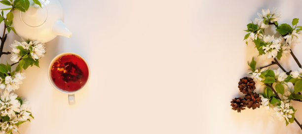 白茶壶，红果茶，松果，苹果树花白底平铺。下午茶时间俯视图长网页横幅图片下载