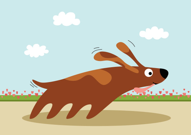 有趣的狗图片下载