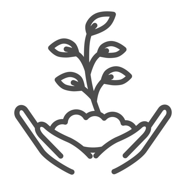 手握小植物与许多叶线图标，生态概念，发芽生长在地面标志在白色的背景，发芽在手的图标在轮廓风格的移动，网页。矢量图形。图片下载