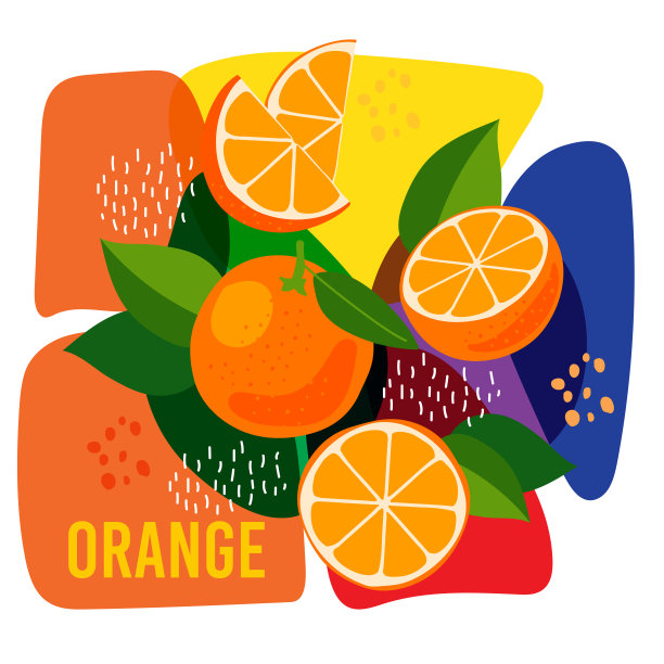 在抽象背景上成熟的橙子水果的矢量插图。生态概念天然橙果标签。图片下载