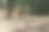 用于冒险公园的挽具图片下载