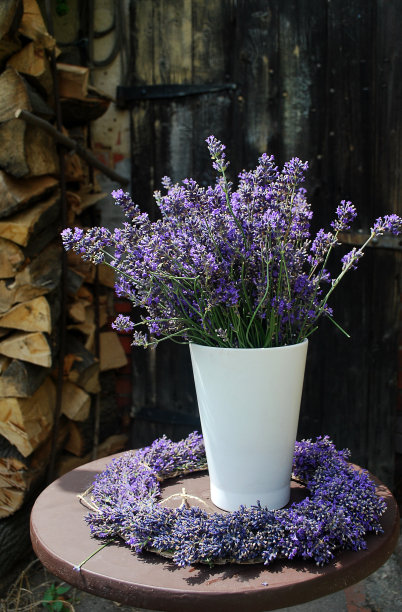 薰衣草花束图片下载