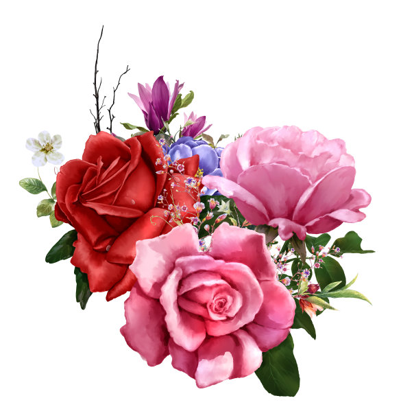 水彩画的叶子和花，玫瑰在白色的背景图片下载