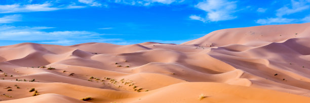 摩洛哥撒哈拉沙漠的梅尔祖加。网页横幅在全景视图。图片下载