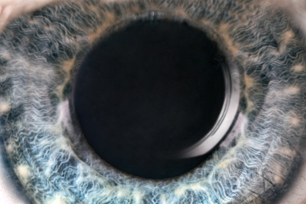 灰色与黄色圆点人类眼睛极端宏观图片下载