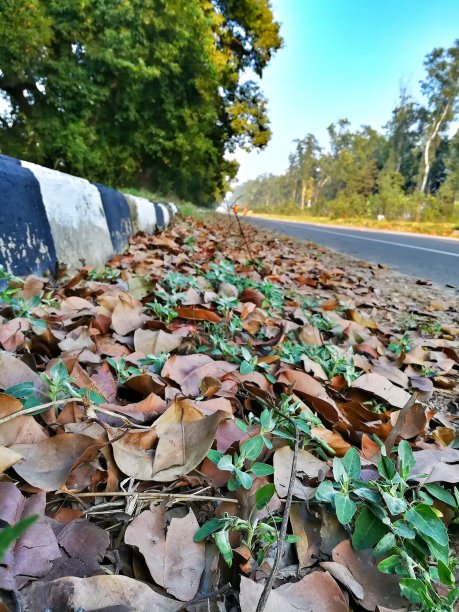 秋天的季节图片下载