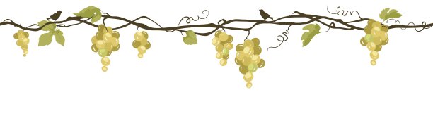 葡萄树与鸟图片下载