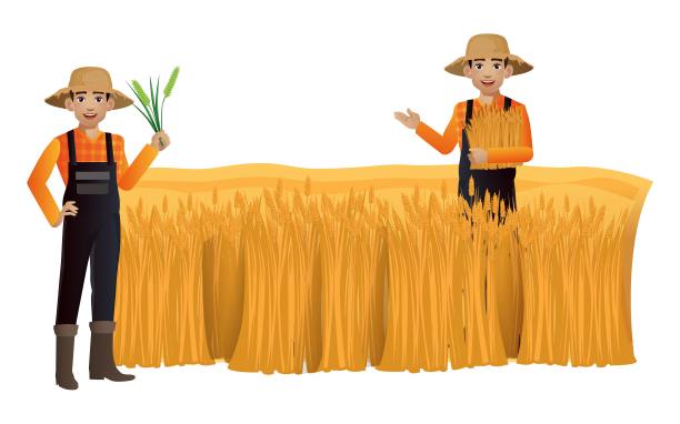 一组不同姿势的园丁图片下载