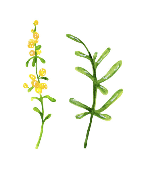 抽象的春天鲜花，用于节日的装饰和设计。图片下载