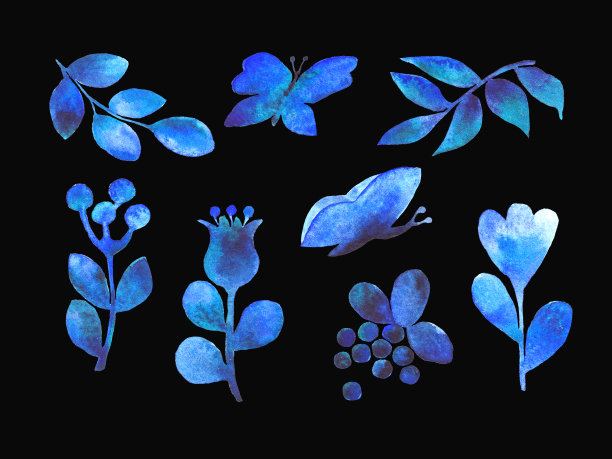 野花。植物插图。手工制作的水彩绘画。用于设计的装饰元素。春天和夏天图片下载