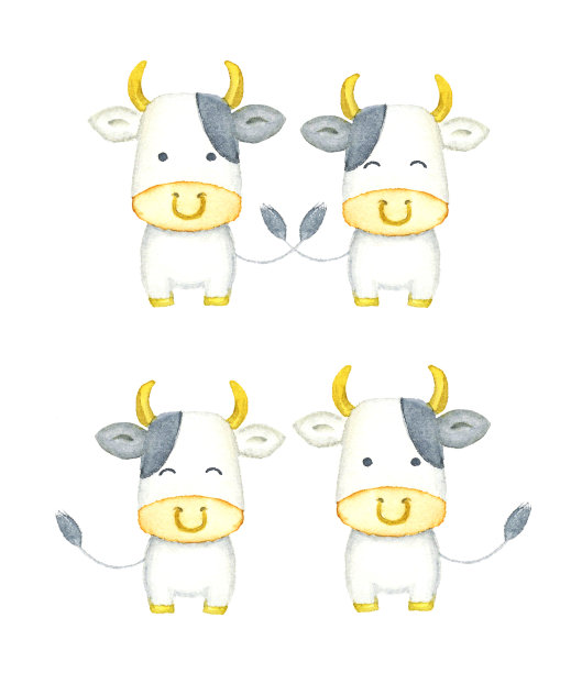 可爱的牛的水彩插图。素材图片