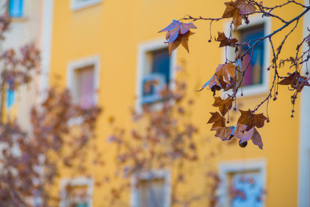 西班牙巴塞罗那的自然风光图片下载