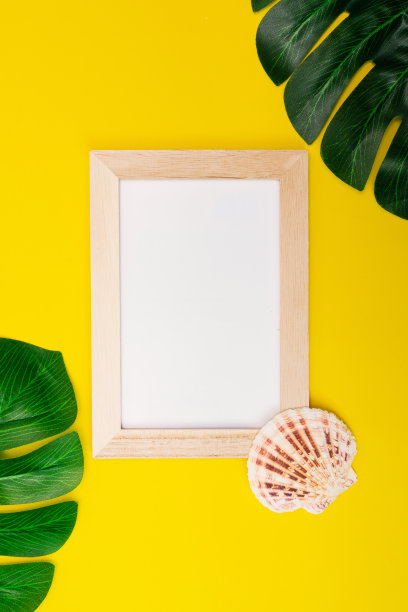 热带模拟与白色相框和棕榈叶在多彩的黄色背景。有文字或广告空白位置的相框，黄色背景上有贝壳图片下载