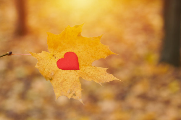 敞开纯洁心灵的象征，复制空间图片下载