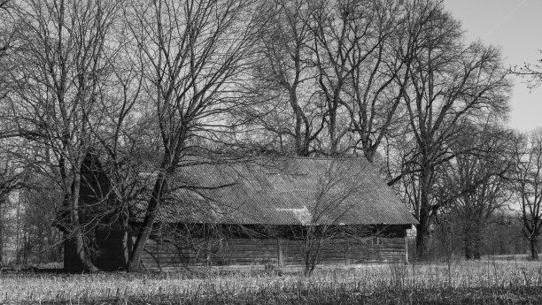 以树枝为背景的废弃乡村房屋黑白照片，乡村概念，留有文本空间图片下载
