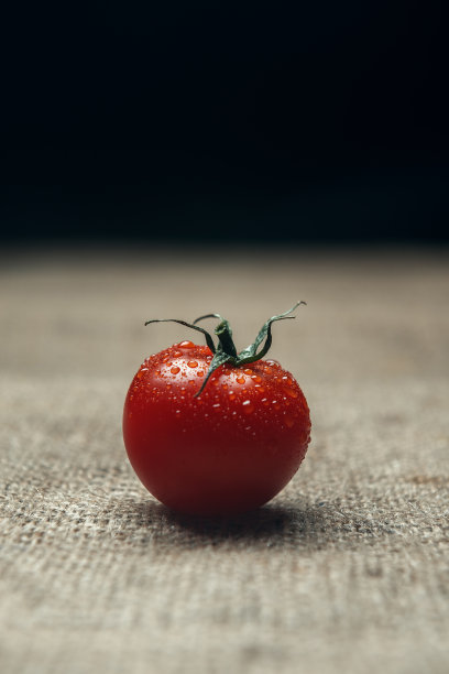 特写成熟的樱桃番茄与水滴图片下载