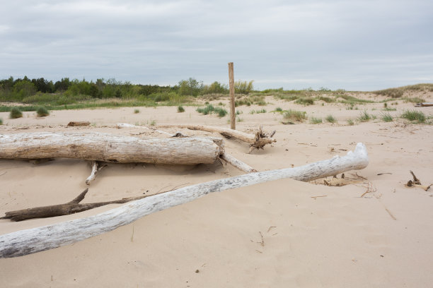 城市Carnikava,拉脱维亚。海上的木片。旅行的照片。图片下载