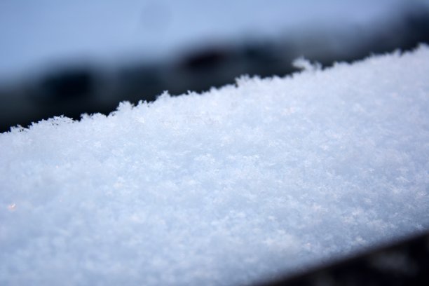 宏观拍摄白色蕾丝雪花在冬天的特写图片下载