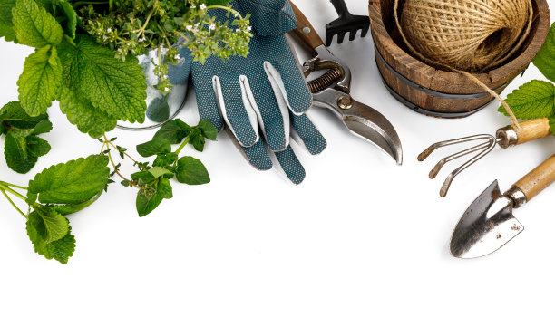 香料桶和园艺工具。图片下载