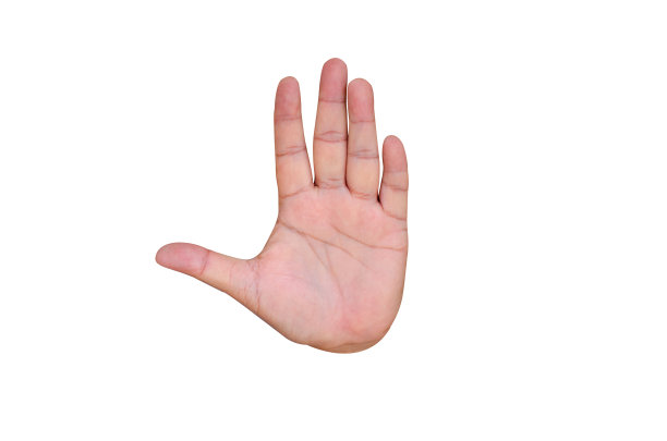 左手和手掌孤立在白色背景上图片下载