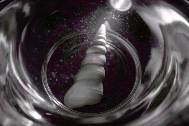 海贝在一碗水里图片下载