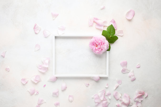 粉红色的牡丹和玫瑰花朵在一个明亮的背景框架。前视图。平躺图片下载