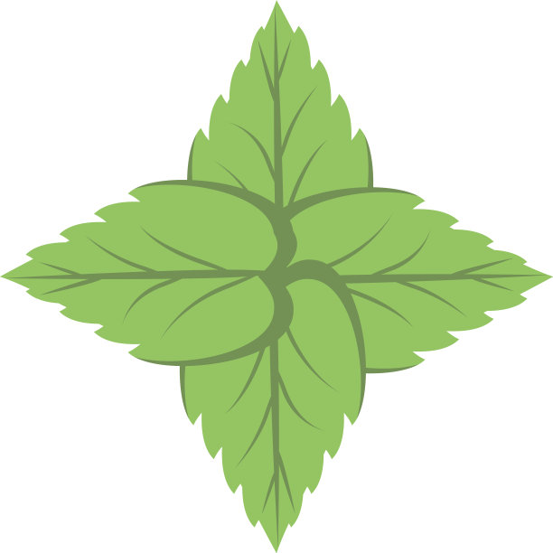 生态叶子植物孤立图标图片下载